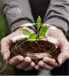 Fertilizer Fertilizer