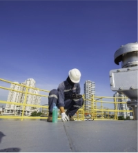 Inspection Services